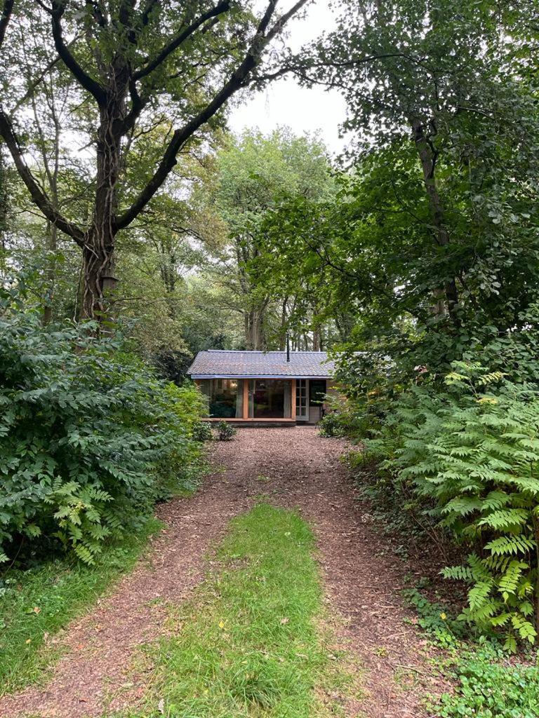 Huisje In Het Bos Zuidlaren Buitenkant foto