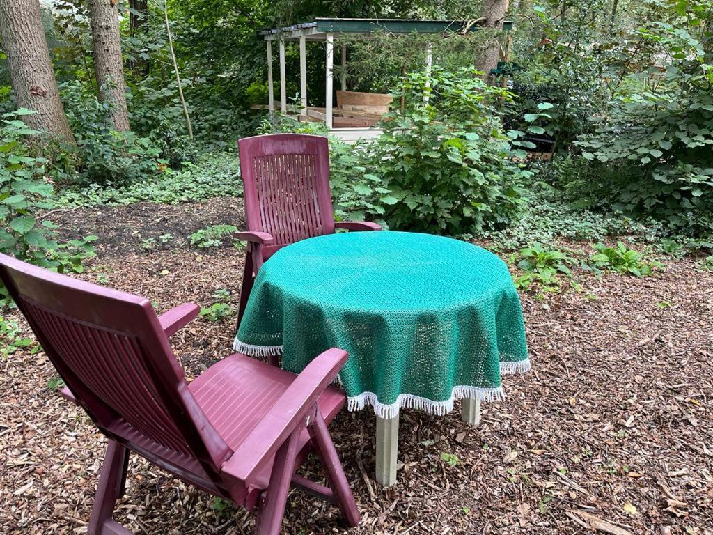 Huisje In Het Bos Zuidlaren Buitenkant foto